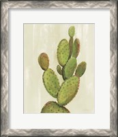 Framed 'Front Yard Cactus I' border=