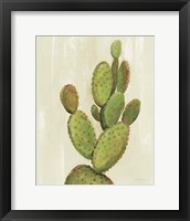 Framed 'Front Yard Cactus I' border=