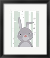 Framed 'Bunny' border=