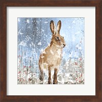 Framed Winter Hare