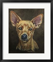 Framed Cody The Chihuahua