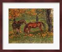 Framed Autumn Pastures Horses