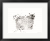 Framed Bear