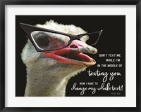 Framed Ostrich Don't Text Me