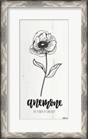 Framed Anemone - the Flower of Sincerity