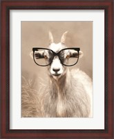 Framed See Clearly Goat