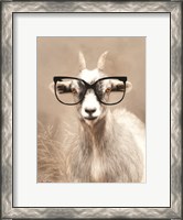 Framed See Clearly Goat