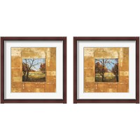 Framed Terranova 2 Piece Framed Art Print Set