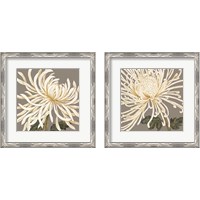 Framed 'Glorious White 2 Piece Framed Art Print Set' border=