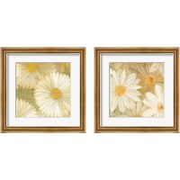 Framed Daisy Story Square 2 Piece Framed Art Print Set