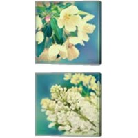 Framed 'Natures Apple Blossom 2 Piece Canvas Print Set' border=