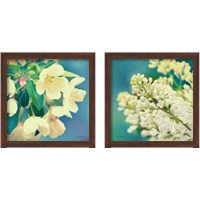 Framed 'Natures Apple Blossom 2 Piece Framed Art Print Set' border=