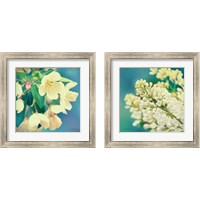 Framed 'Natures Apple Blossom 2 Piece Framed Art Print Set' border=