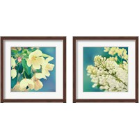 Framed 'Natures Apple Blossom 2 Piece Framed Art Print Set' border=