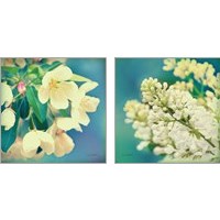 Framed 'Natures Apple Blossom 2 Piece Art Print Set' border=