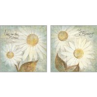 Framed 'Daisy Do 2 Piece Art Print Set' border=