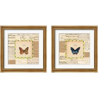 Framed Truth & Hope Butterfly 2 Piece Framed Art Print Set