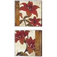 Framed 'Floral Harmony 2 Piece Canvas Print Set' border=