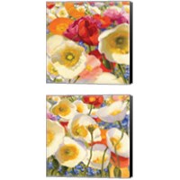 Framed Sunny Abundance 2 Piece Canvas Print Set