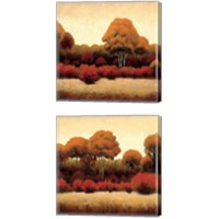 Framed 'Autumn Forest 2 Piece Canvas Print Set' border=