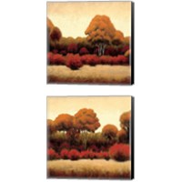 Framed 'Autumn Forest 2 Piece Canvas Print Set' border=
