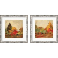 Framed 'Fall Forest 2 Piece Framed Art Print Set' border=