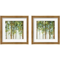 Framed 'Forest Study 2 Piece Framed Art Print Set' border=