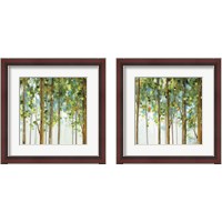 Framed Forest Study 2 Piece Framed Art Print Set