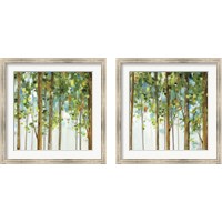 Framed Forest Study 2 Piece Framed Art Print Set