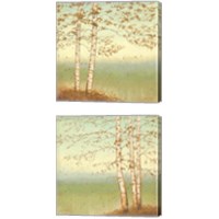 Framed Golden Birch 2 Piece Canvas Print Set