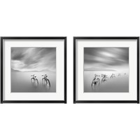 Framed Black and White 2 Piece Framed Art Print Set