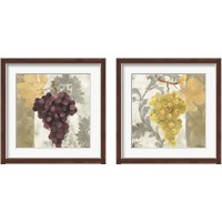 Framed 'Acanthus and Paisley with Grapes 2 Piece Framed Art Print Set' border=