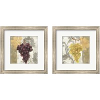 Framed 'Acanthus and Paisley with Grapes 2 Piece Framed Art Print Set' border=