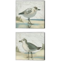 Framed 'Beach Bird 2 Piece Canvas Print Set' border=