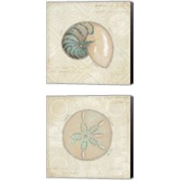 Framed 'Beach Treasures 2 Piece Canvas Print Set' border=