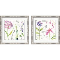 Framed 'Soft Nature 2 Piece Framed Art Print Set' border=