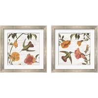 Framed Vintage Hummingbird 2 Piece Framed Art Print Set