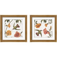 Framed Vintage Hummingbird 2 Piece Framed Art Print Set