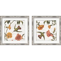 Framed 'Vintage Hummingbird 2 Piece Framed Art Print Set' border=