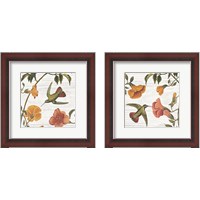 Framed 'Vintage Hummingbird 2 Piece Framed Art Print Set' border=