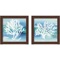Framed 'Sea Life Coral 2 Piece Framed Art Print Set' border=