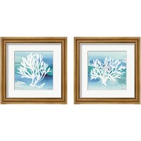 Framed Sea Life Coral 2 Piece Framed Art Print Set