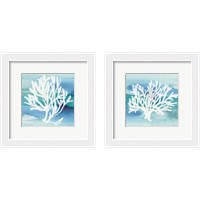 Framed 'Sea Life Coral 2 Piece Framed Art Print Set' border=