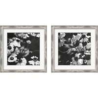 Framed 'Bloom and Grow 2 Piece Framed Art Print Set' border=