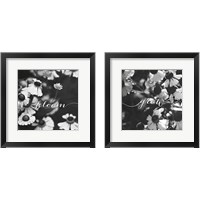 Framed 'Bloom and Grow 2 Piece Framed Art Print Set' border=