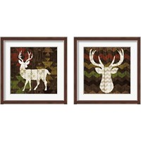 Framed Southwest Lodge 2 Piece Framed Art Print Set