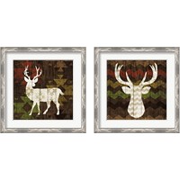 Framed Southwest Lodge 2 Piece Framed Art Print Set