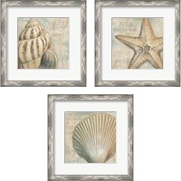 Framed La Plage 3 Piece Framed Art Print Set