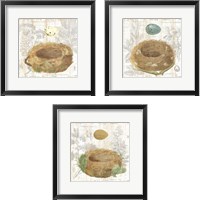 Framed 'Botanical Nest 3 Piece Framed Art Print Set' border=