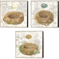 Framed 'Botanical Nest 3 Piece Canvas Print Set' border=